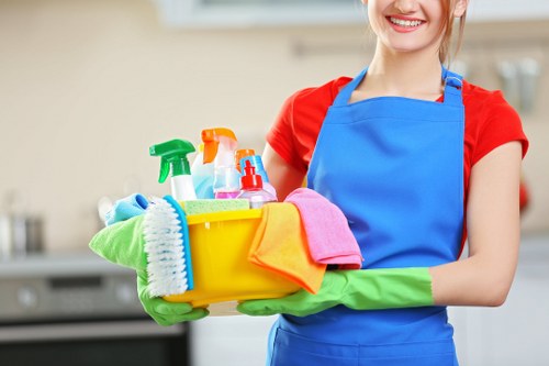 Window cleaning service for E2 homes and flats