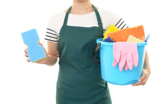 Local window cleaner working on hard-to-reach windows in E2
