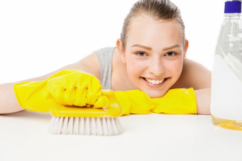 Regular home cleaning support for properties in E2