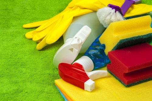 Carpet and upholstery treatment for pet odour problems in E2