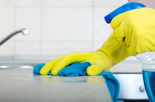 Fortnightly cleaning service in E2 for flats and apartments