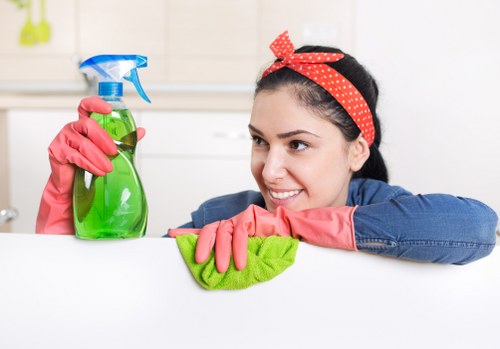 Detailed cleaning of a kitchen by cleaners in E2
