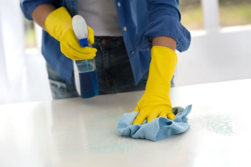 Commercial hard floor maintenance for an E2 business premises