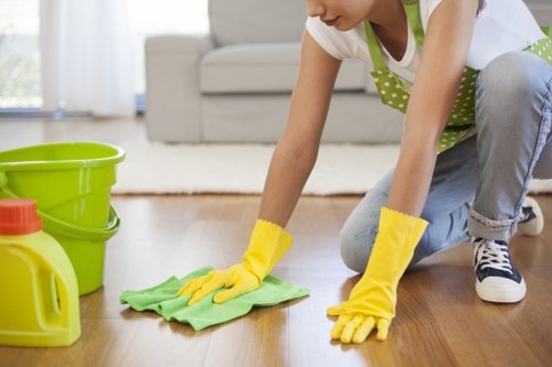 Routine gutter cleaning service for homes and flats in E2